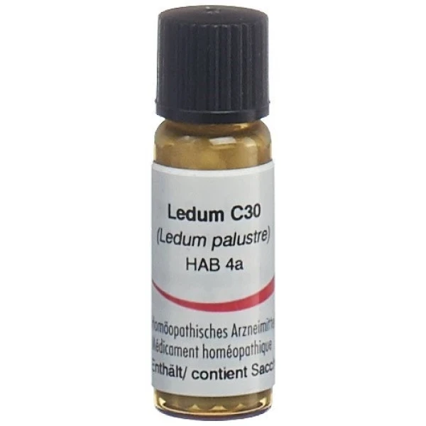 OMIDA Ledum Glob C 30 2 g